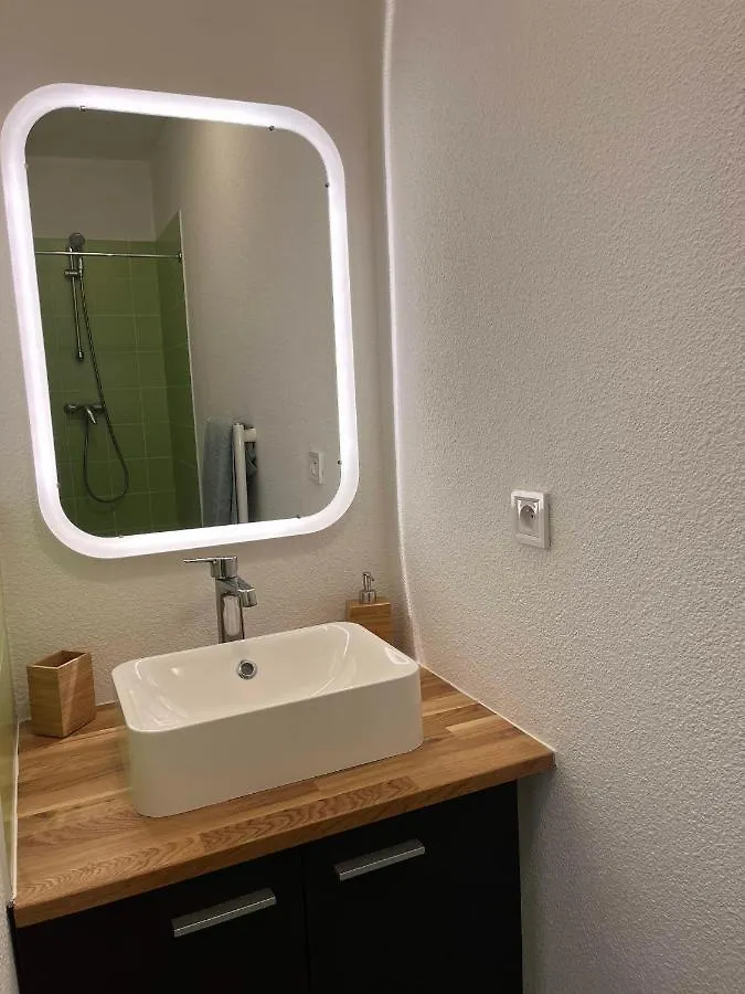 Studio Meuble Lyon 6E Apartment France