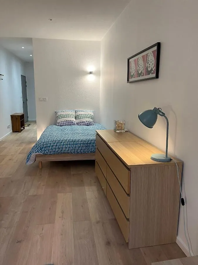 Studio Meuble Lyon 6E Apartment